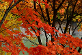 autumn_color08_thumb.png